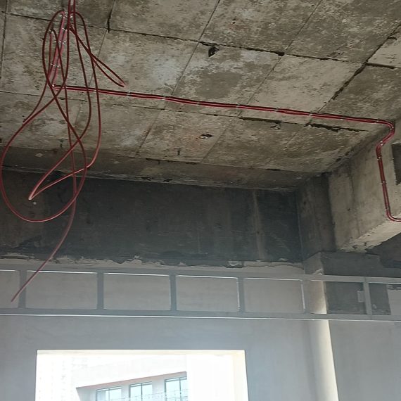 WhatsApp Image 2026-01-05 at 16.02.52